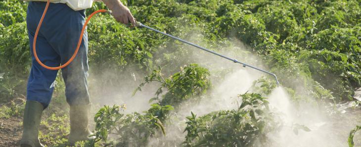 homme diffusant des pesticides dans un champ