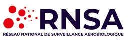 logo RNSA