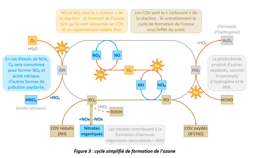 Cycle simplifié de la formation de l'ozone