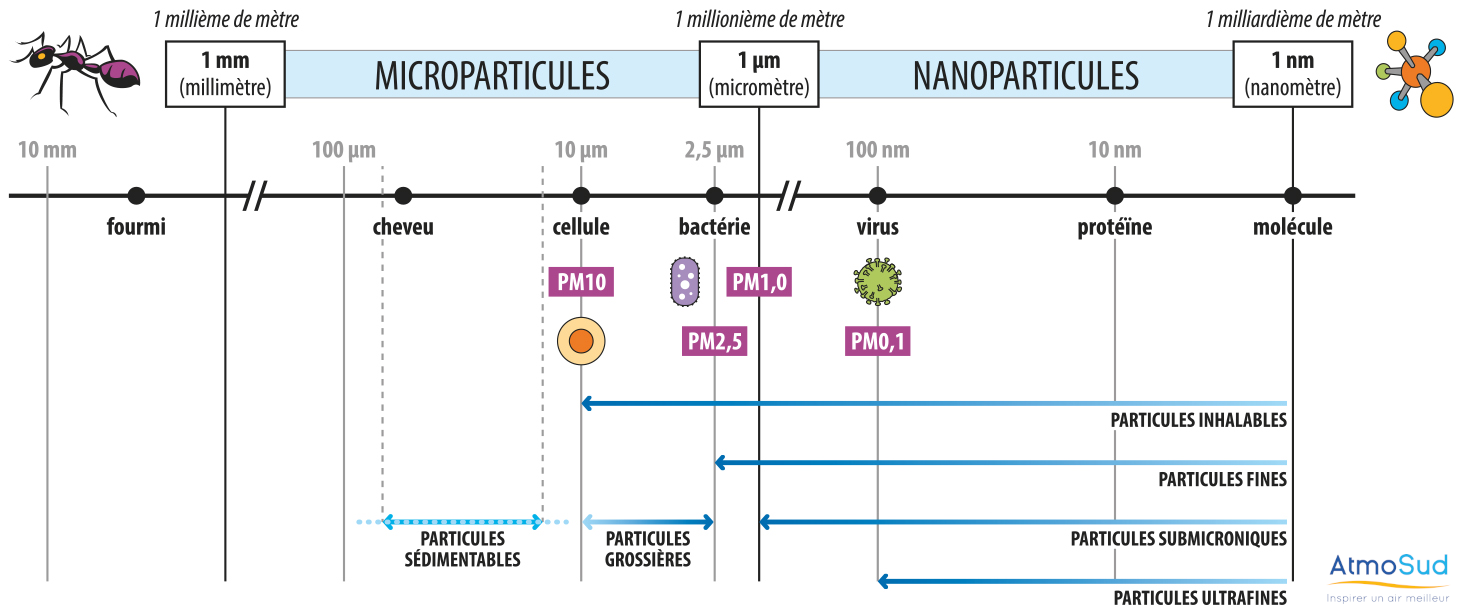 frise de la taille des particules