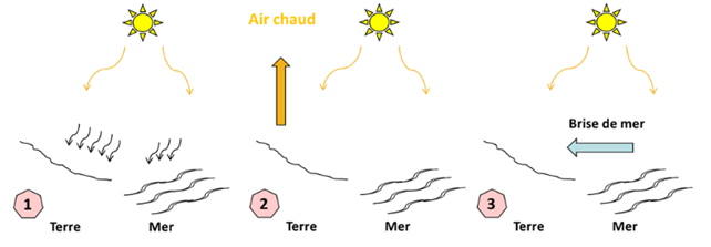 Schéma de la formation de la brise de mer