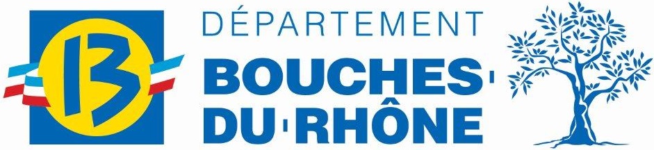Conseil département 13
