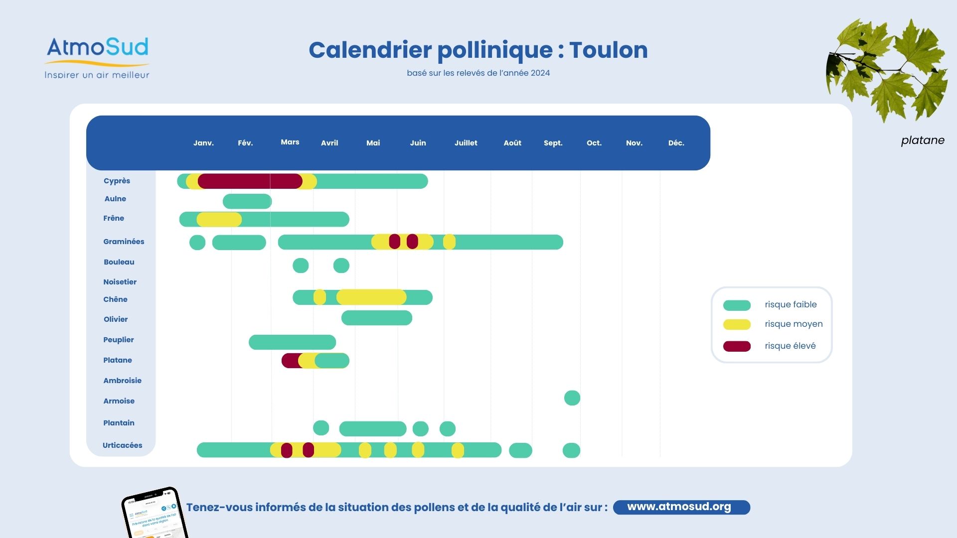toulon calendrier pollens