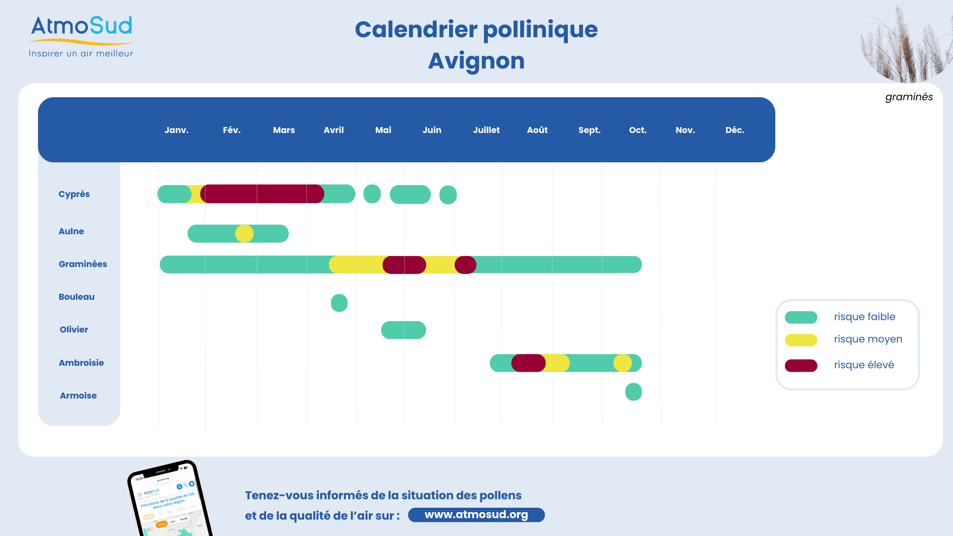 calendrier avignon