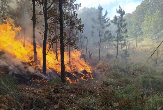 incendie photo generique