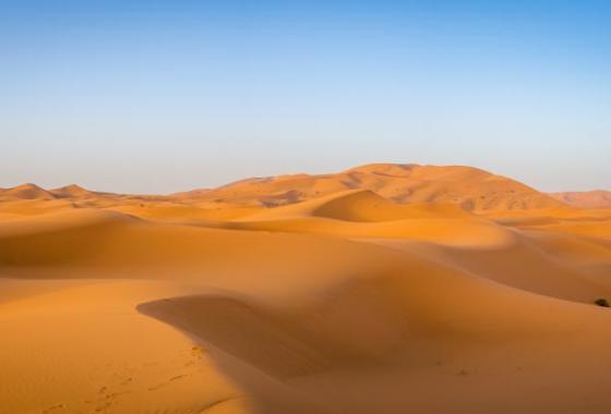 sahara désert