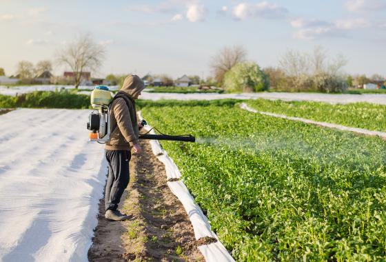 Agriculteur avec un brumisateur