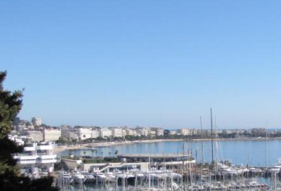 vue du port de cannes 