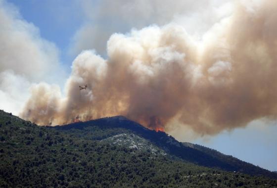 Feu de foret