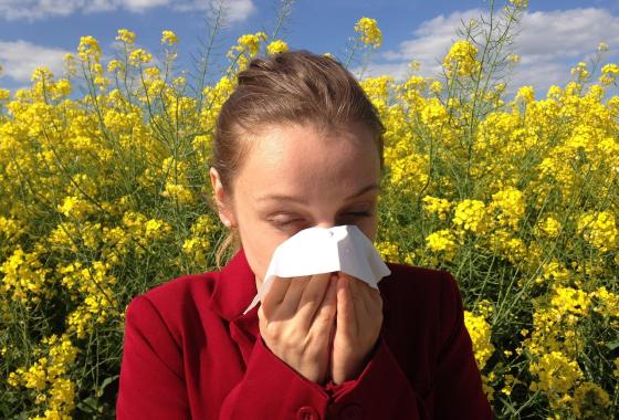 allergies aux pollens