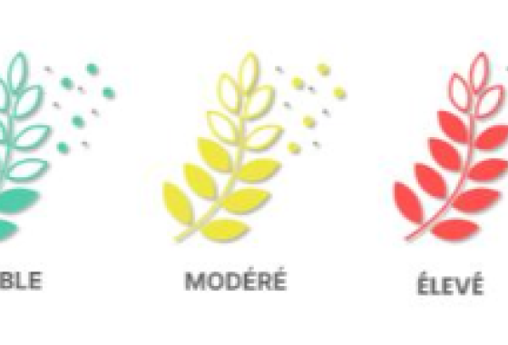 Nouvel indice pollen