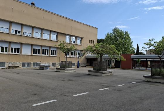 cour