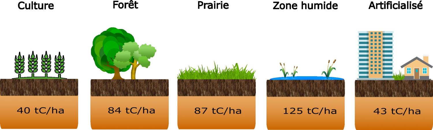 Quantité de référence de carbone stocké dans les sols par hectare en région SUD selon l’utilisation des terres (source : CITEPA, OMINEA 2016) 