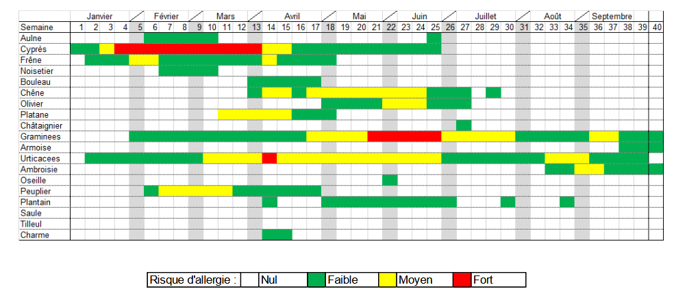 calendrier des pollens en Paca