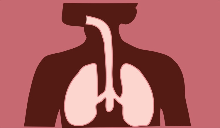 Appareil respiratoire