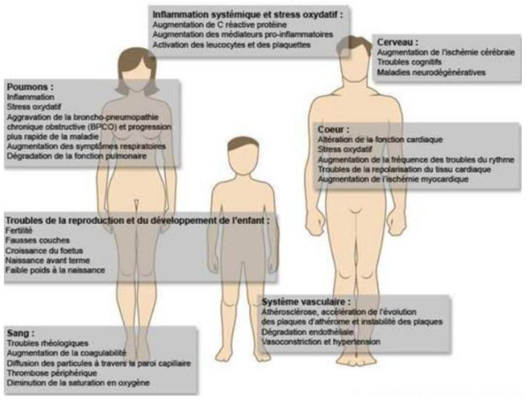 webinaire PUF - 24 avril 2025 - effets sanitaires PUF
