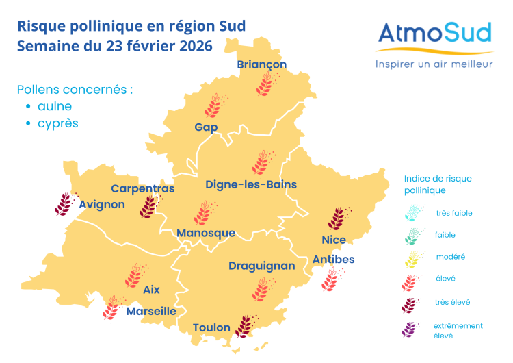 carte risque pollinique - 23 février 2026