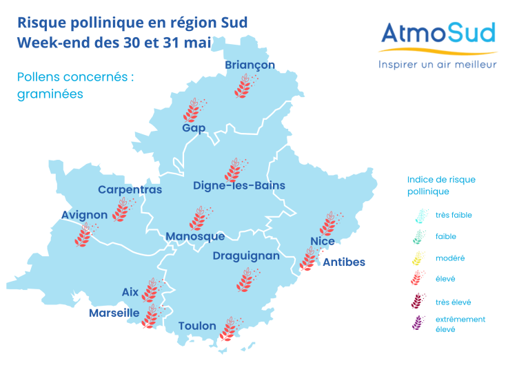 carte pollens we 30-31 mai