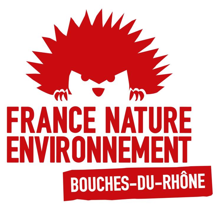 logo FNE 13