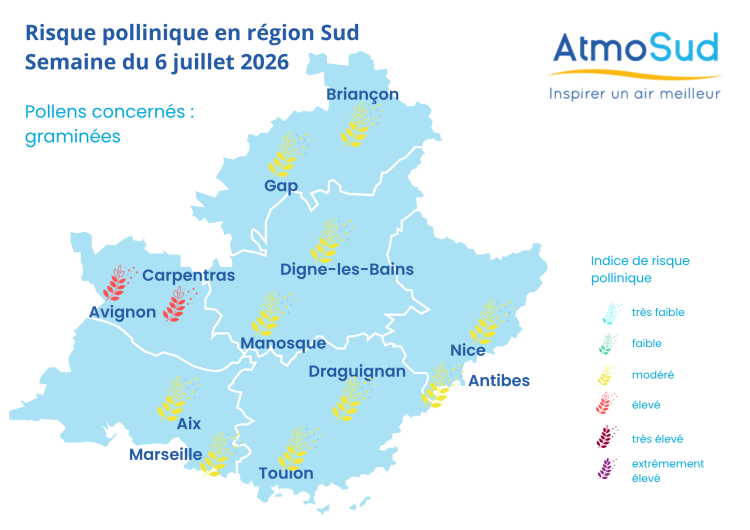 carte pollens - semaine 6 juillet 2026