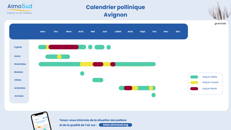 calendrier avignon