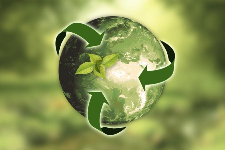 nature-recyclage-écologie