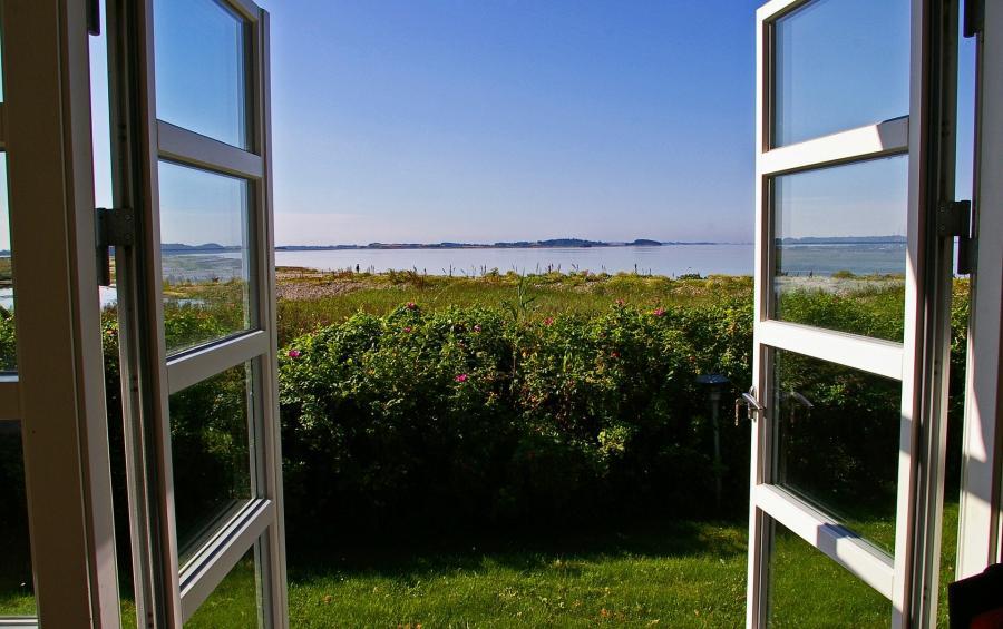 vue de jardin depuis une fenêtre