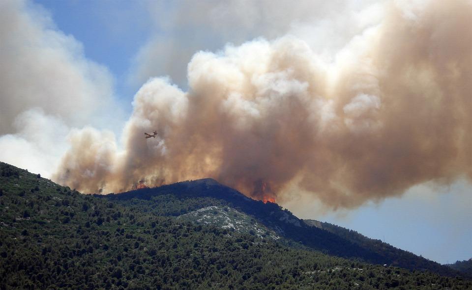 Feu de foret