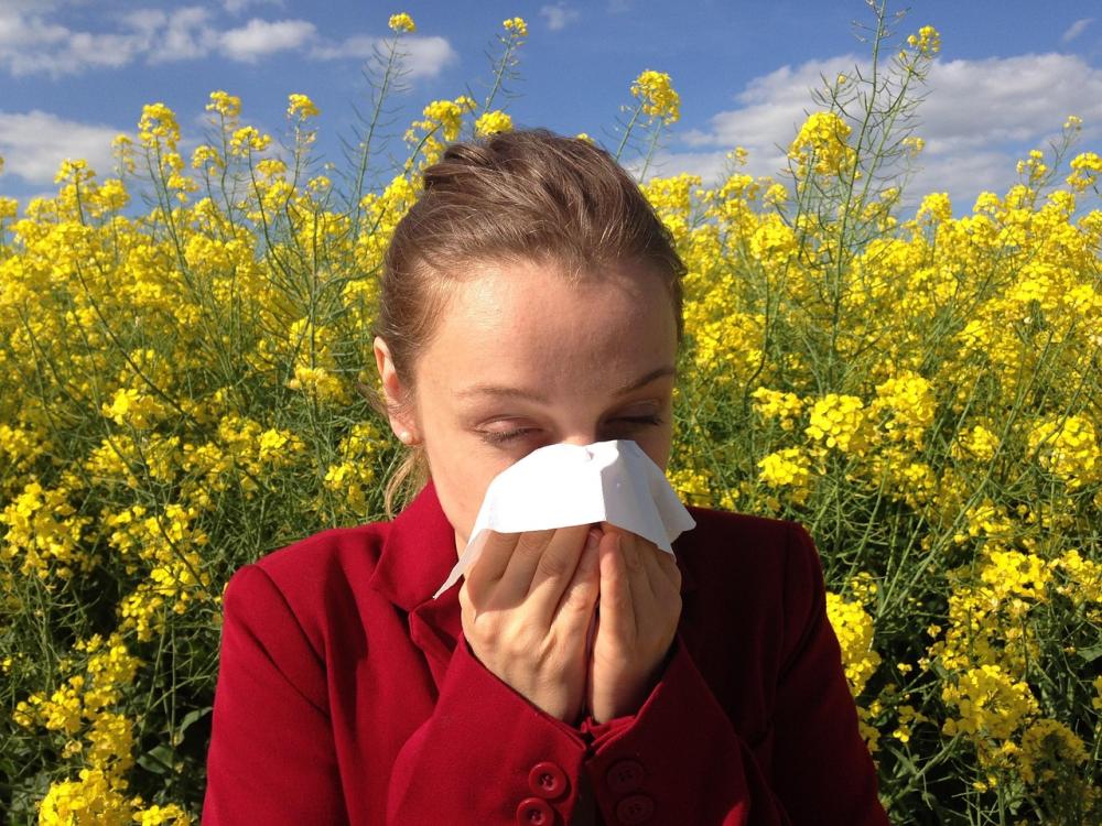 allergies aux pollens