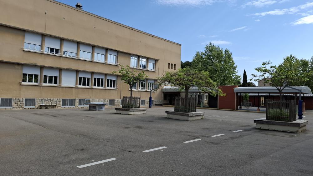 cour