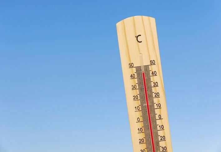 thermo
