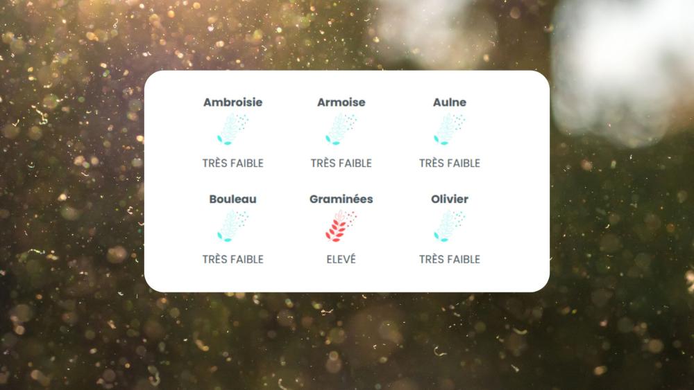 indice-pollens
