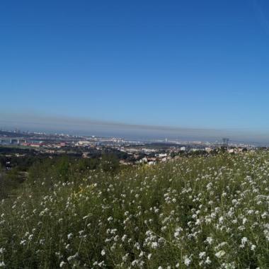 Journée de pollution sur l'étang de Berre