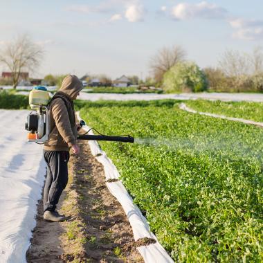 Agriculteur avec un brumisateur