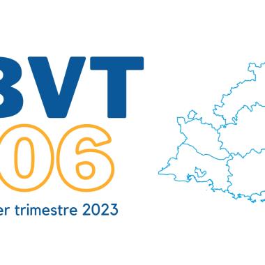 BVT 06 trim 1