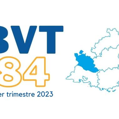 BVT 84 trim 1