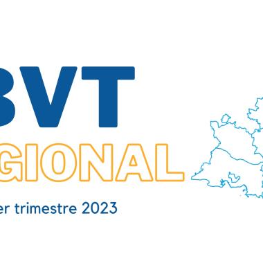 BVT region trim 1