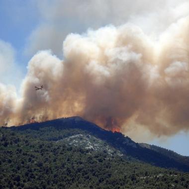 Feu de foret