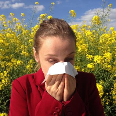 allergies aux pollens