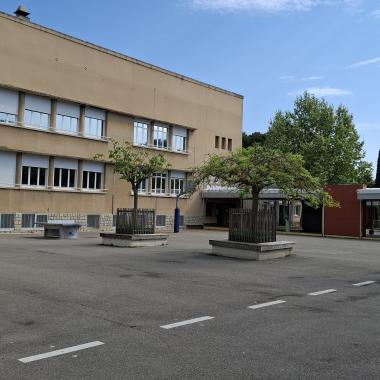 cour